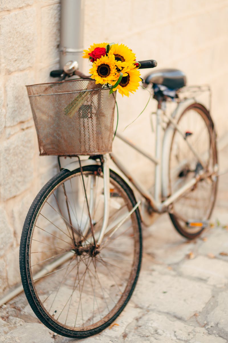 Rustic bicycle with sunflowers in basket against stone wall, outdoors.